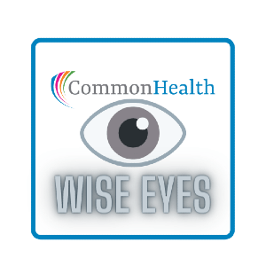 Logotipo de Wise Eyes